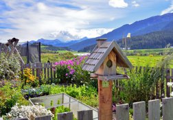 Bergbauernhof Südtirol 03